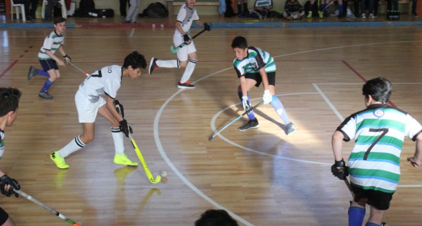La Liga Santacruce&ntilde;a de Hockey Pista se juega en El Calafate