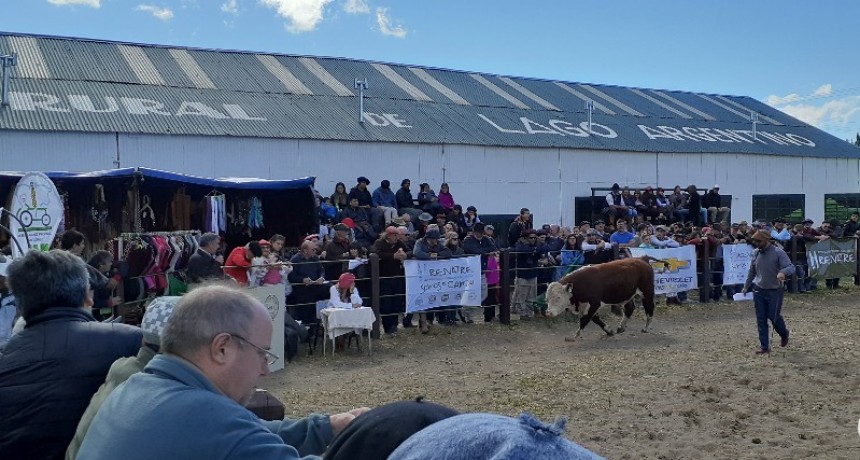 VIDEO. El sector ganadero reclamo por estado de rutas y perros sueltos