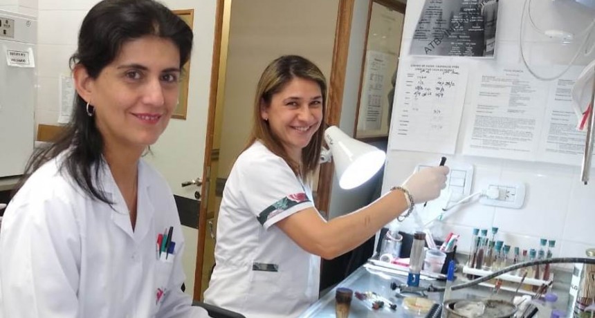 El Laboratorio de Microbiolog&iacute;a del SAMIC logr&oacute; el 100% en evaluaci&oacute;n de calidad