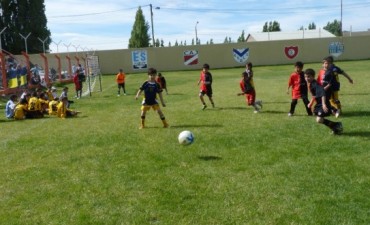 Las inferiores de Newell�s jugaron de local y visitante