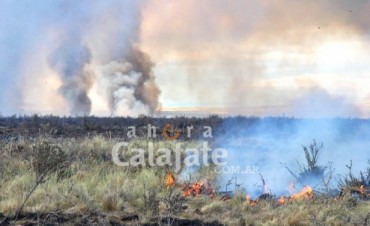 Incendio: El fuego se inici&oacute; por causas humanas