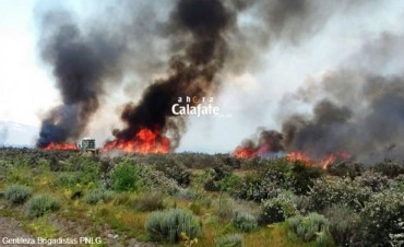 Misi&oacute;n Cumplida: Est&aacute; controlado el incendio de campos
