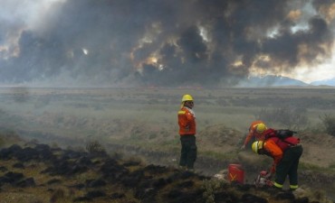 Se quemaron m&aacute;s de 50 hect&aacute;reas