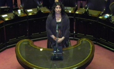 Ianni realiz&oacute; un balance de su gesti&oacute;n como Diputada Nacional