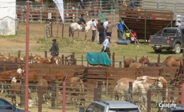 Llega la Exposici&oacute;n Rural del Lago Argentino