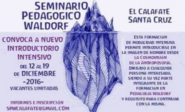 Pedagog&iacute;a Waldorf: Nuevo Seminario Introductorio