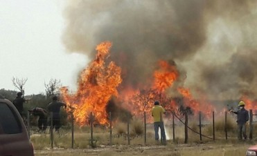 EMERGENCIA. Interconectado en estado cr&iacute;tico.