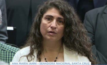 Senado: Ianni busca integrar comisiones estrat&eacute;gicas para Santa Cruz