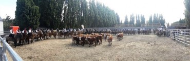 Exitosa Exposici&oacute;n Rural 
