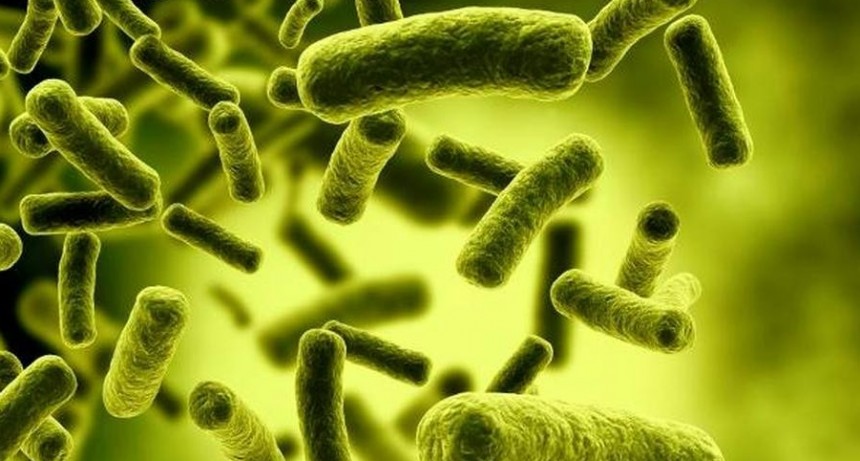 Detectan peligrosa bacteria en el sector de Terapia Intensiva del hospital.