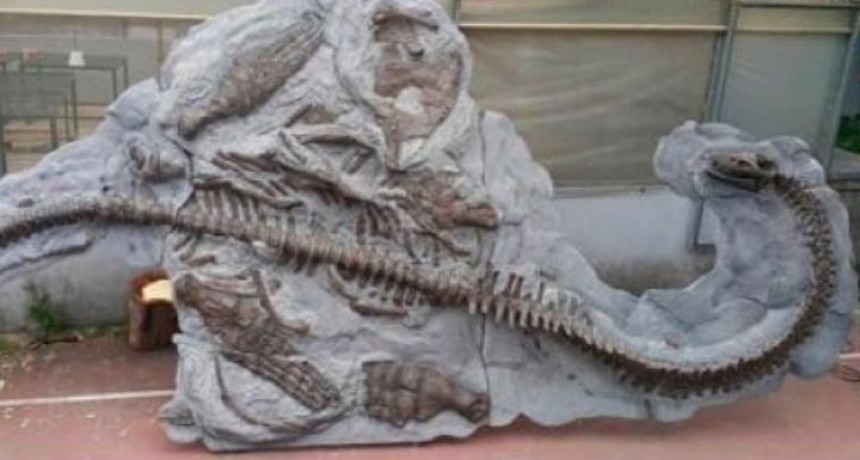 Presentan el hallazgo del Plesiosaurio de El Calafate