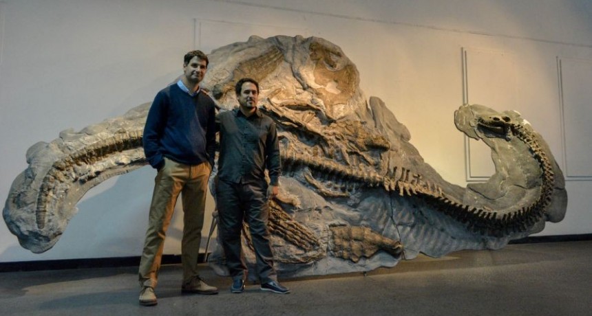 Es el Plesiosaurio m&aacute;s completo hallado en el Hemisferio Sur