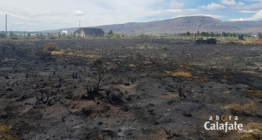 Ardieron dos hect&aacute;reas en Punta Soberana