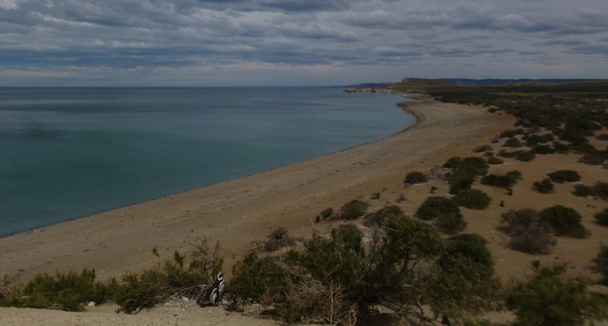 El Parque Nacional Monte Le&oacute;n solo se puede visitar hasta la Ping&uuml;inera