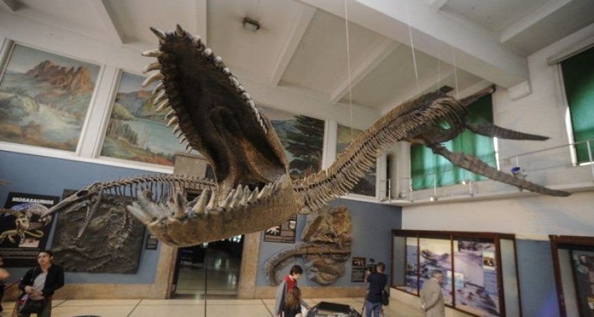 Se present&oacute; en Buenos Aires una r&eacute;plica 3D del Plesiosaurio de El Calafate