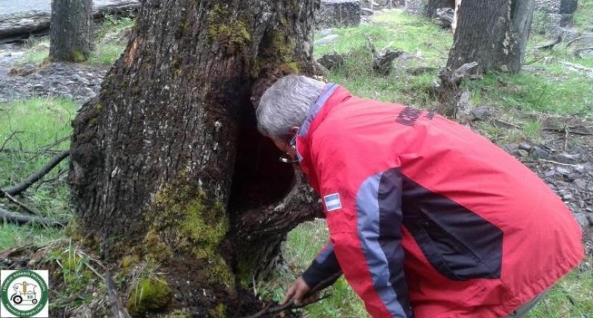El Chalt&eacute;n. Advierten sobre riesgos de incendios 